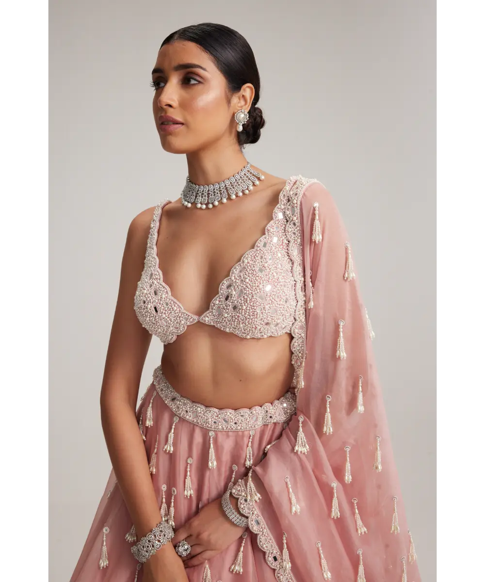VVANI VATS- Dusty Rose Organza Long Pearl Tassels Lehenga Set